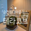 순천 가볼만한곳 테라리움 원데이클래스[테라코브]방문후기♡