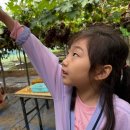 용인대호수태권도장 이미지