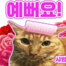 네일바이썬 - 동두천시 중앙로7번길 5-24 | 네일바이썬
