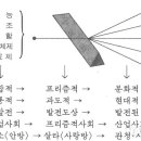 사랑방행정사무소 이미지