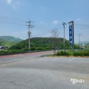 천궁송어