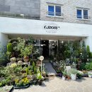 제주 그로우(grow) 감성 식물편집샵 | 제주 식물집 | 봄을 맞아 반려식물 소개글.zip