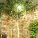 자연미건강약손 이미지