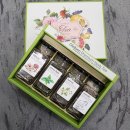 (주)월드컬렉션 이미지