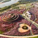 신소양체육공원 이미지