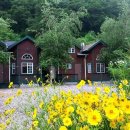 수림대농장 Daum카페