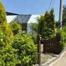 덕목5길 이미지