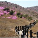 벽계관광지(입구) 네이버블로그