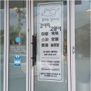 꿈꾸는강아지 네이버블로그