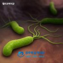 광주내과의원 이미지