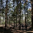 코리아둘레길 「남파랑길」(해남구간) 이미지