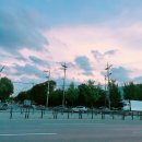 술블리 | [일상블로그] ~7월 11일 / 밀린 일상들 / 동성로 오드피쉬 / 고도레트로 / 포항여행