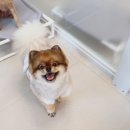 원주유치원 이미지