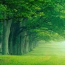 눈부신날에 이미지