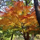 금강공원 이미지