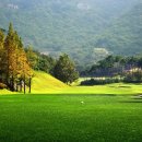 고창골프존 이미지