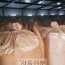 송파유통
