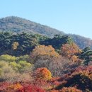 수만리 생태숲공원 | 전남 화순 가을 단풍 예쁜 곳 만연산 지구 산림공원 수만리 생태숲공원