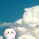 애이본 | 오아시스 내한 후기