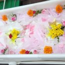 신성요양병원 이미지