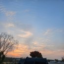 조은소리이비인후과의원 이미지