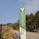 올덴하우스 | [울진올덴리조트] 여긴 또 갈거에요 ~ 올덴 카라반 1박 후기..!!