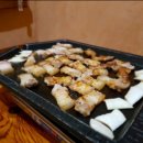 사람과애견 이미지