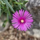 어느주택 이미지