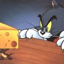 댕스키친 이미지