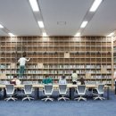 니체에게 배우는 인생 공부 이미지