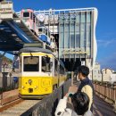 이마트24 상주무양점 | 부산여행 해운대 해변열차 부산아이와 가볼만한곳 추천 청사포정거장 포토존 맛집 미포어묵 전복죽 해월...