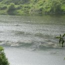 새수궁가든 이미지