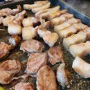 도야지한마리 이미지