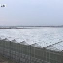 정당농장 이미지