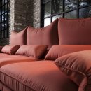 베이비독 이미지