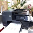 엔디준의원 이미지