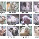 지현이네집 이미지