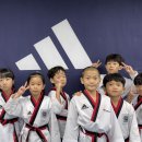 한마루태권도체육관 이미지