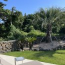 고내다운 이미지