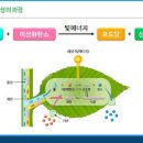 성체성사의 문명론: 생명의 빵과 영원한 생명 이미지