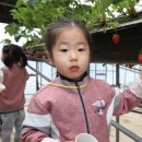 명호초등학교,병설유치원 이미지