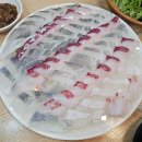 광어9900포장전문 | 광명사거리 횟집 보리숭어가 끝내주는 광어9900포장전문 광명점