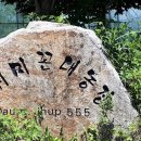 도학농장 Daum카페