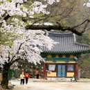 교대역  13번출구 뒤 2 이미지