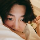 댕프로 이미지