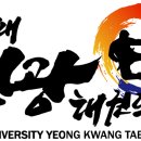 용인대 영광 태권도장 이미지