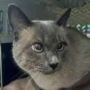 유스동물병원 이미지