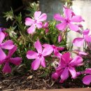 방화근린공원 이미지