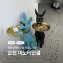 철원눈사랑안경.콘텍트 | 춘천 안경점 추천 / 춘천 안경 안경집 / 이노티안경 춘천퇴계석사점