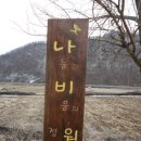 (주)나비원 네이버블로그